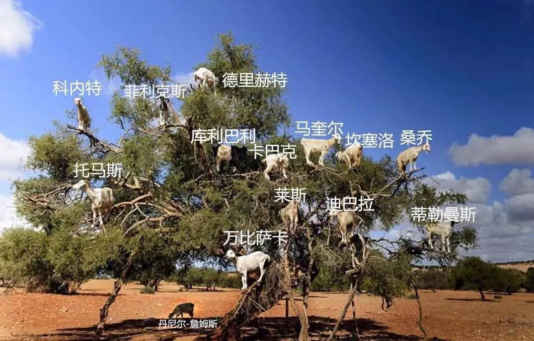  诺丁汉森林夏窗狂签18人,库珀整合考验功力  